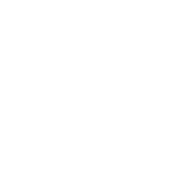 anil logo white